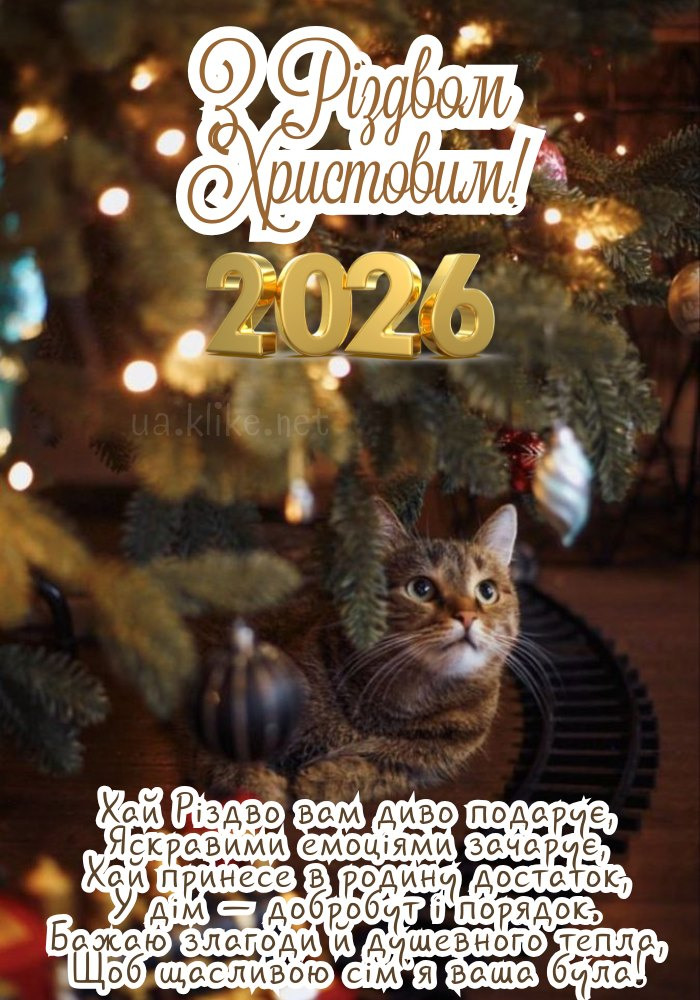 Картинка з Різдвом Христовим 2026! Сірий кіт біля ялинки.