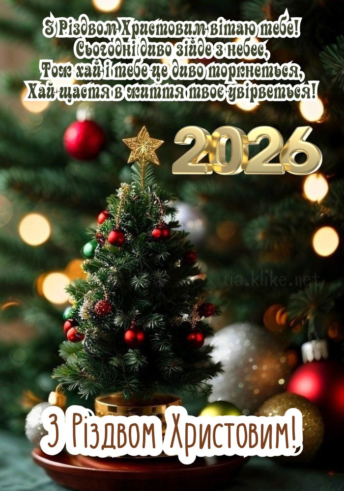 Привітання з Різдвом 2026! Маленька ялинка з зіркою.