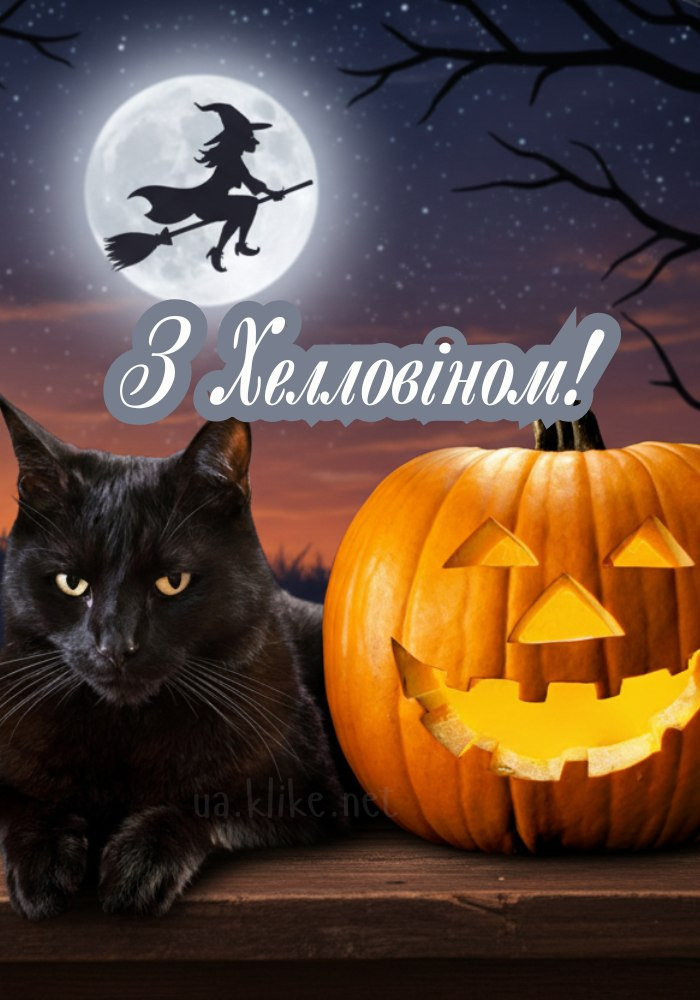 З Хелловіном! Чорний кіт з гарбузом.