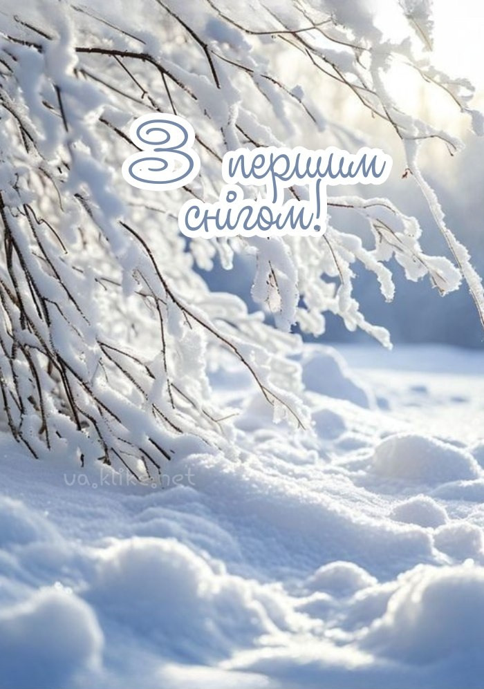 З першим снігом! Зимове дерево.