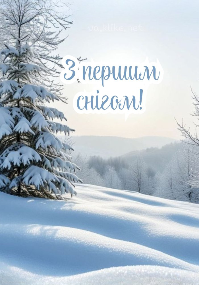 З першим снігом! Ялинка на природі.