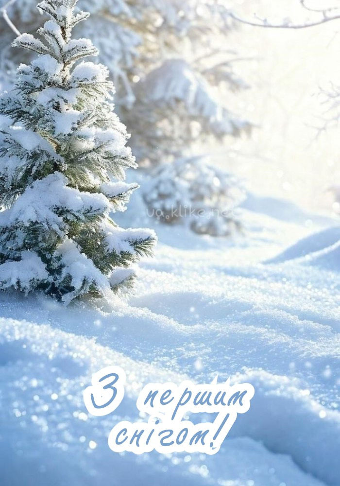 Смішна картинка з першим снігом! Зелені ялинки.